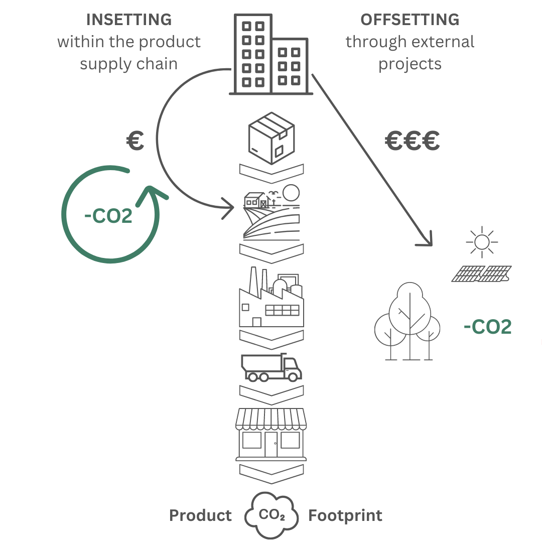 Insetting vs Offsetting CO2 emissions