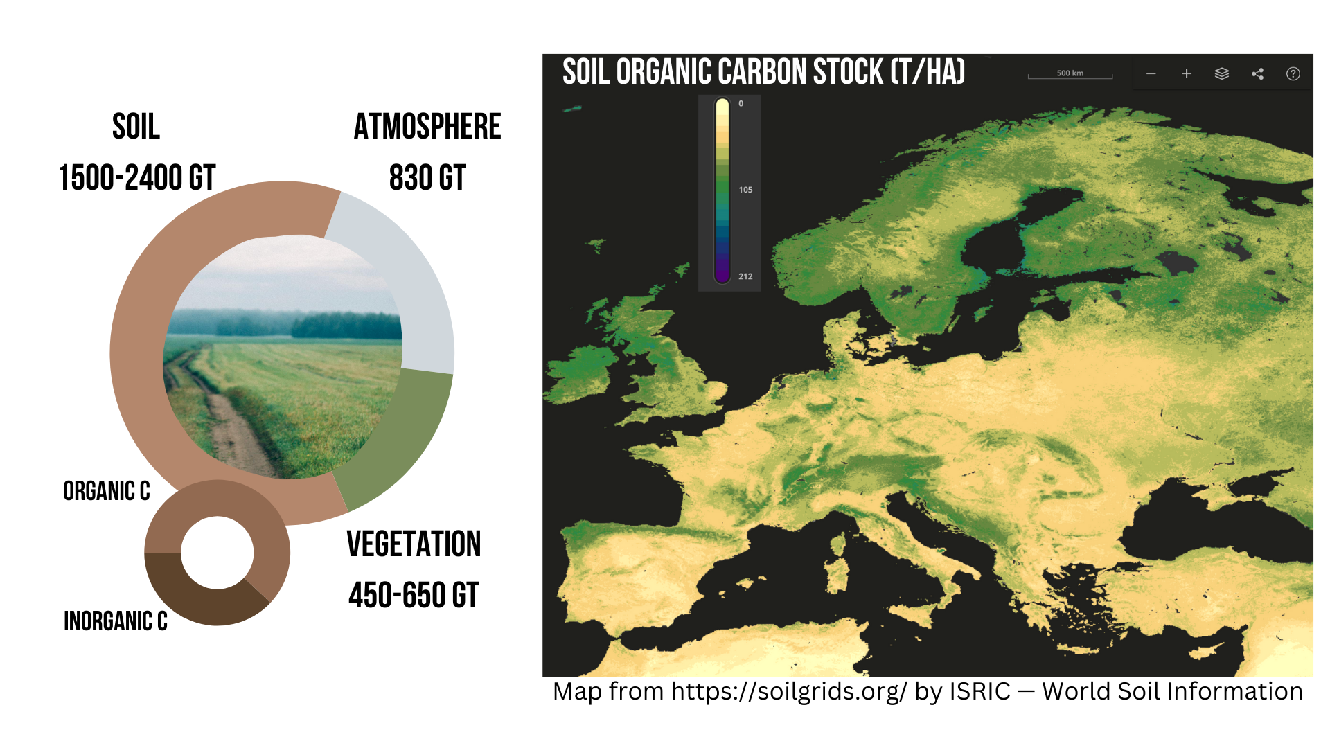 Representation of the distribution of terrestrial carbon