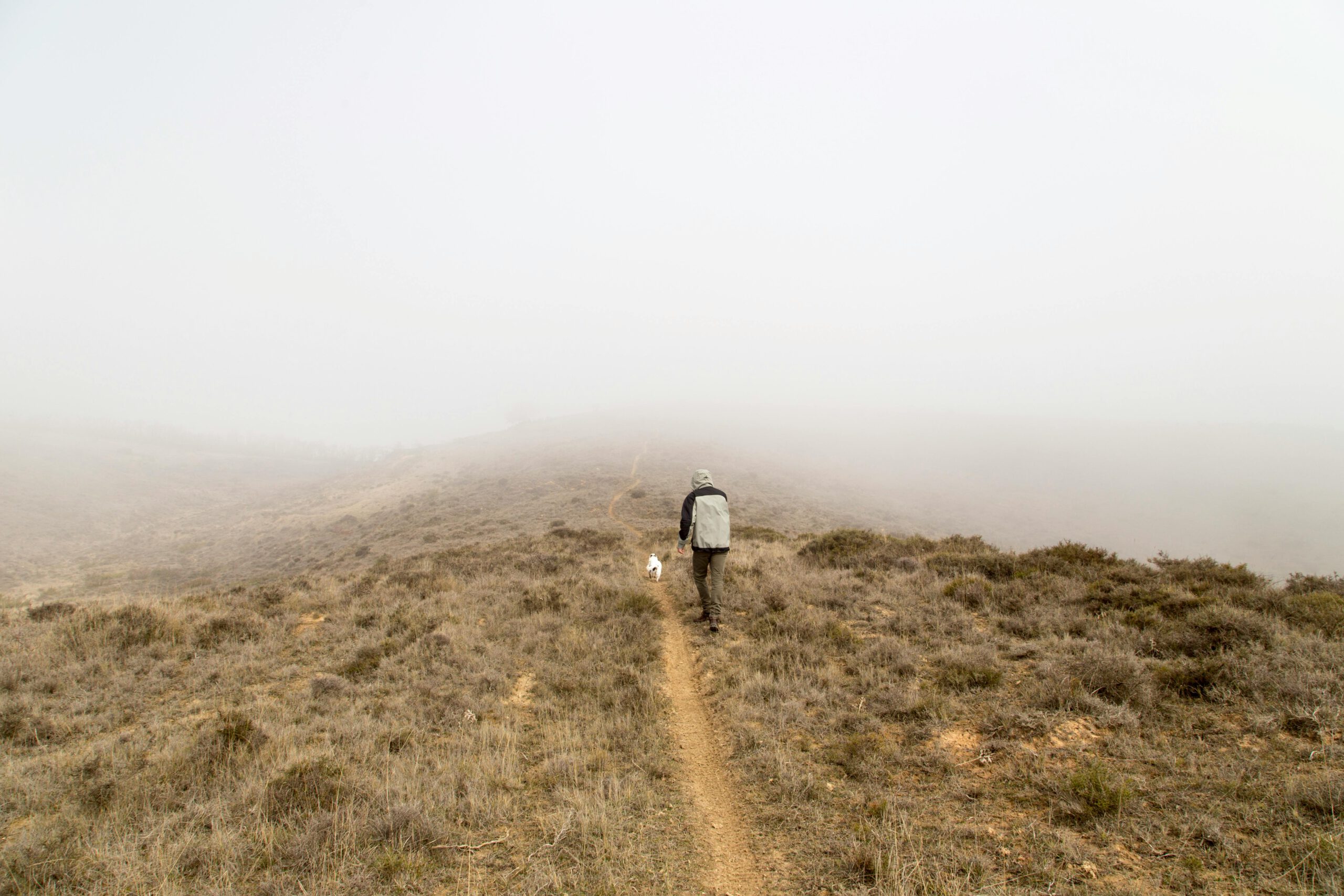 Photo by Ilargian Faus: https://www.pexels.com/photo/man-walking-on-top-hill-covered-of-fog-1629778/