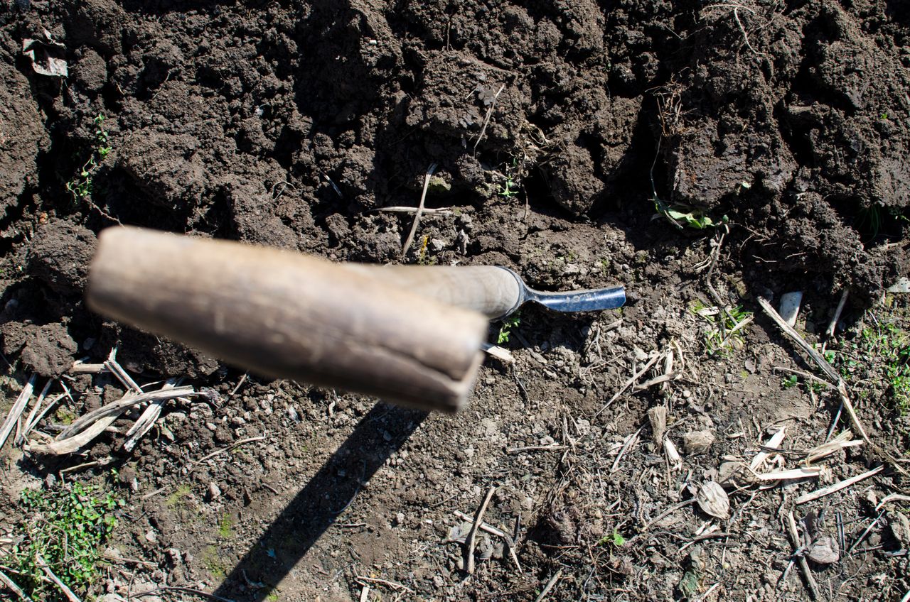 A shovel in freshly turned soil. Photo by Lukas Blazek: https://www.pexels.com/photo/brown-shovel-296232/