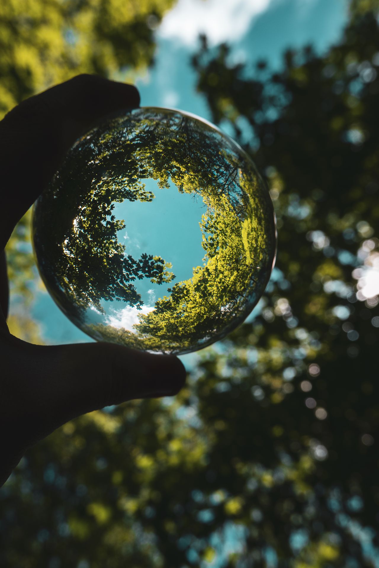 A creative shot depicting trees and sky reflected in a lensball, held by a hand with a blurred forest background. Photo by JD Photography : https://www.pexels.com/photo/person-holding-crystal-ball-with-green-trees-and-blue-sky-on-background-8266270/