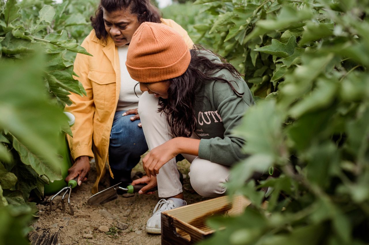 Two women engaged in gardening amidst vibrant leafy plants, fostering growth. Photo by Zen Chung: https://www.pexels.com/photo/women-gardening-5529587/